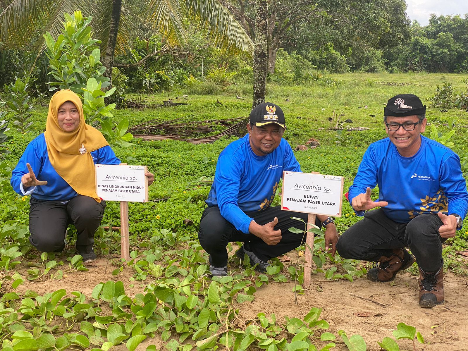 Peringati Hari Lingkungan Hidup Sedunia Dlh Ppu Bersama Phkt Tanam 5